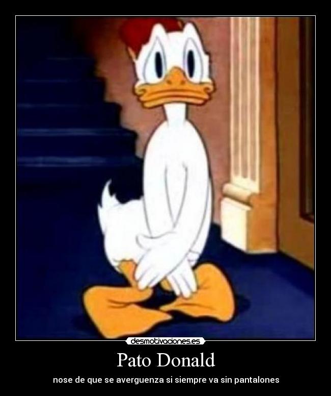 Pato Donald -