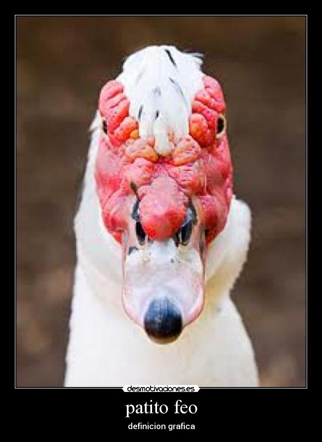 patito feo -