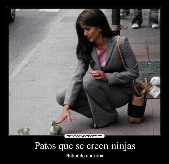 Patos que se creen ninjas - 