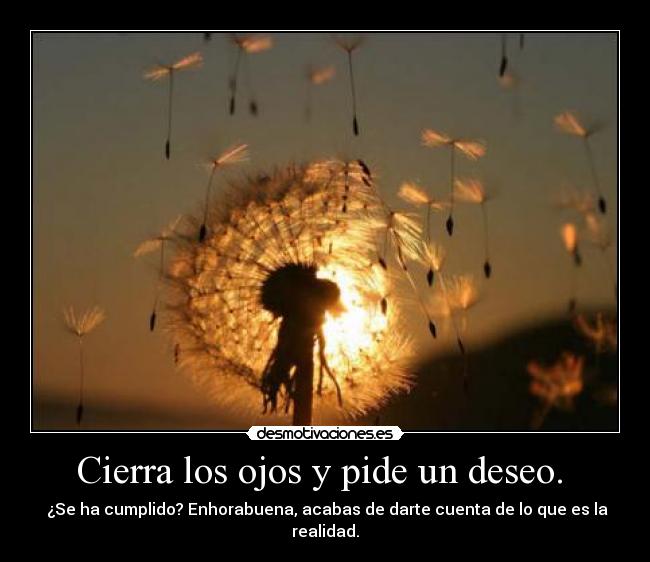 Cierra los ojos y pide un deseo.  -  ¿Se ha cumplido? Enhorabuena, acabas de darte cuenta de lo que es la realidad.