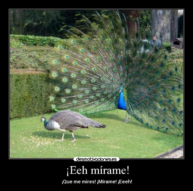 ¡Eeh mírame! - 
