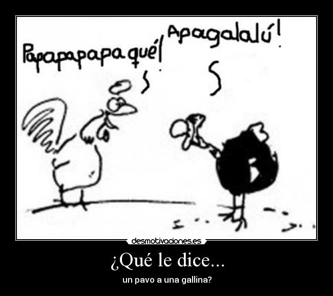 ¿Qué le dice... - un pavo a una gallina?
