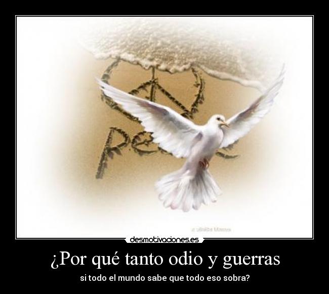 ¿Por qué tanto odio y guerras - 