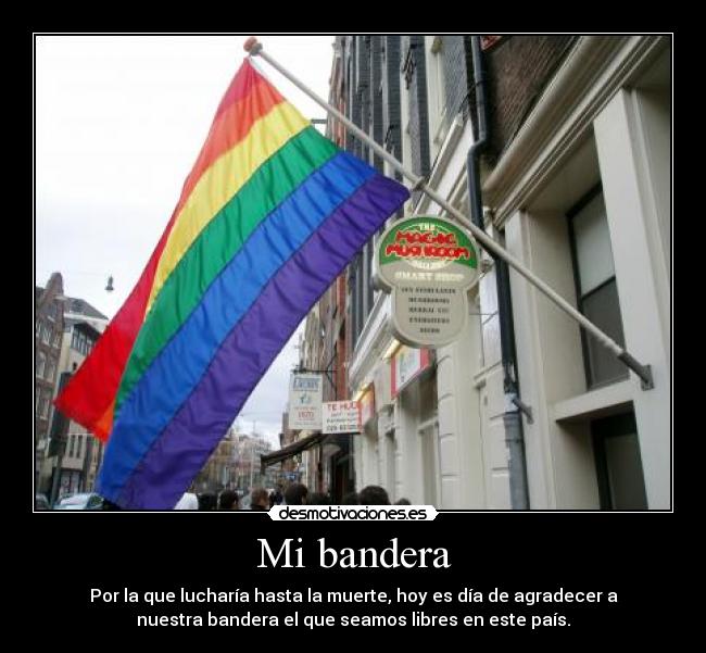 Mi bandera - 