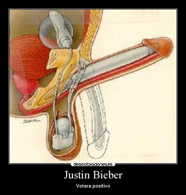 Justin Bieber -