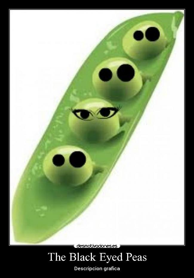 The Black Eyed Peas -