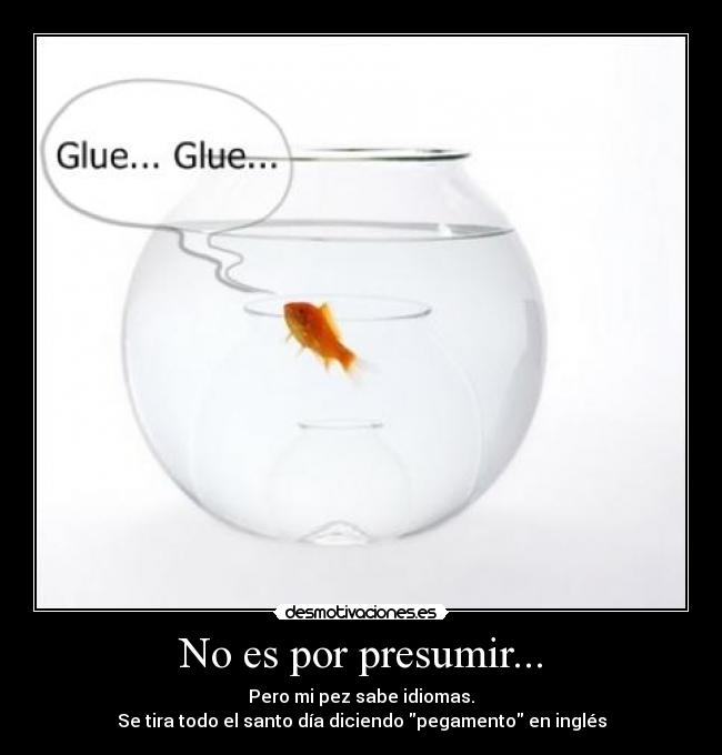 No es por presumir... - Pero mi pez sabe idiomas.
Se tira todo el santo día diciendo pegamento en inglés
