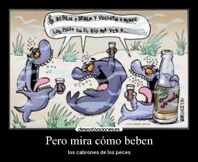 LETRA PERO MIRA COMO BEBEN LOS PECES letra pero mira como beben los peces: