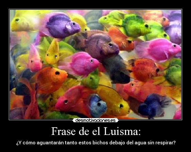 Frase de el Luisma: - 