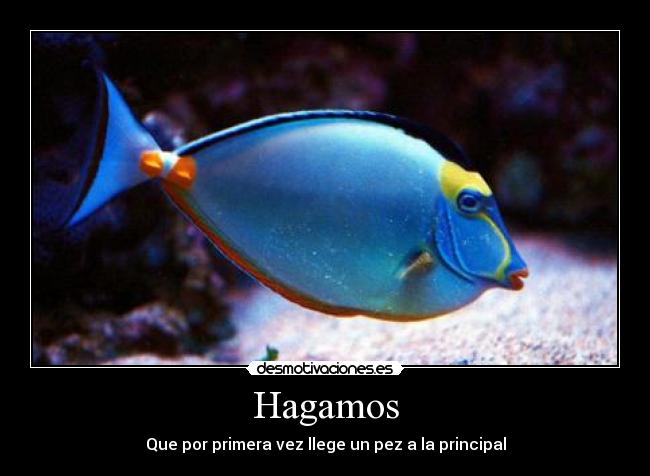 Hagamos - Que por primera vez llege un pez a la principal
