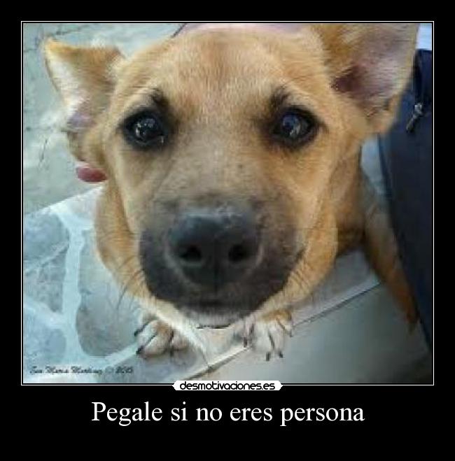 Pegale si no eres persona - 