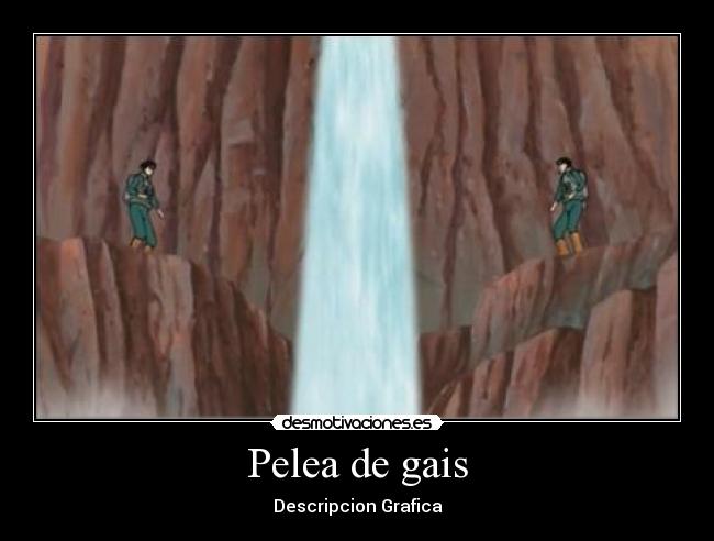 Pelea de gais - Descripcion Grafica