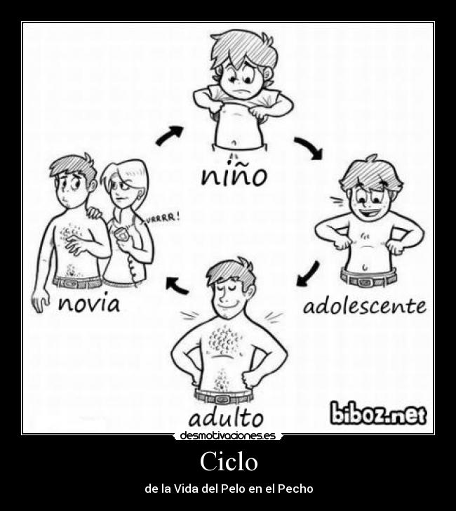Ciclo -