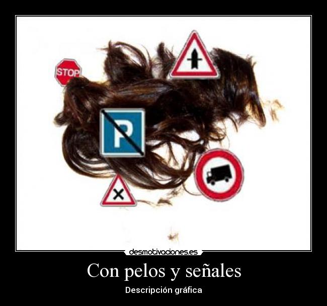 Con pelos y señales - Descripción gráfica