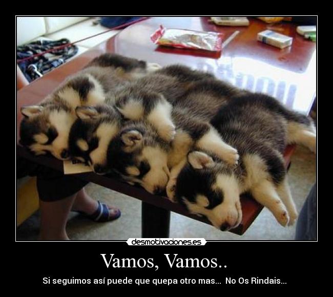 Vamos, Vamos.. -