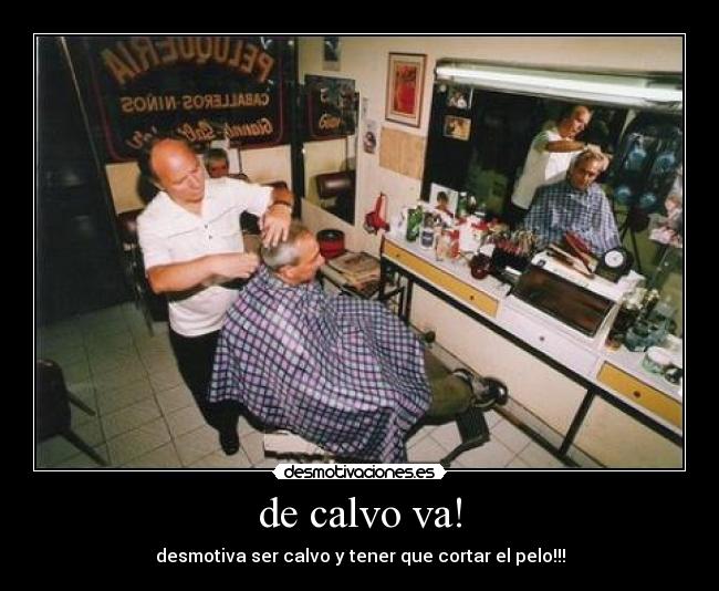 de calvo va! -