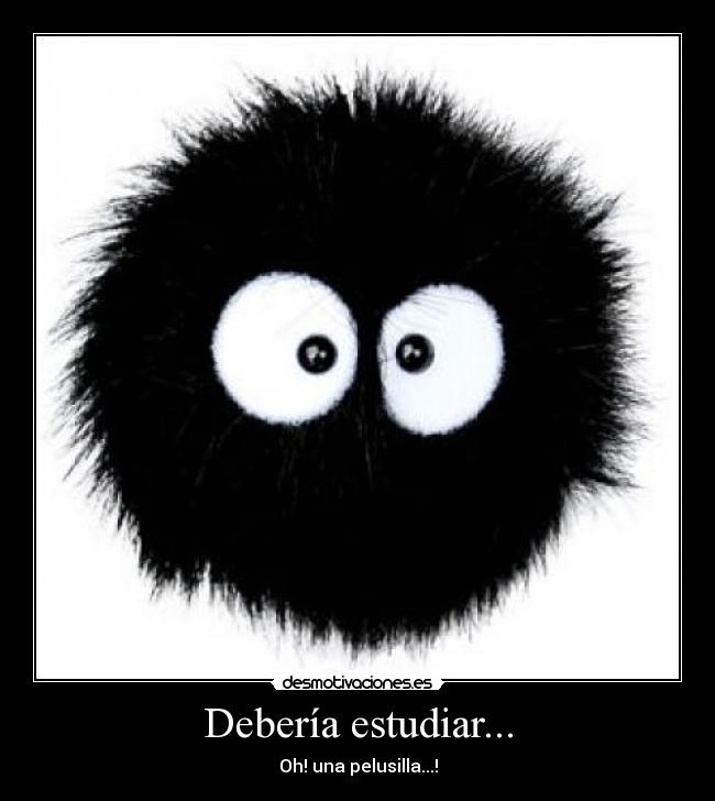 Debería estudiar... - Oh! una pelusilla...!