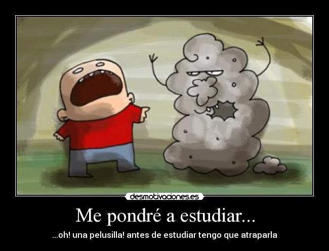Me pondré a estudiar... - ...oh! una pelusilla! antes de estudiar tengo que atraparla