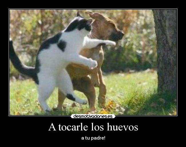 A tocarle los huevos -