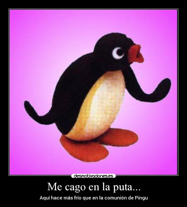 Me cago en la puta... -