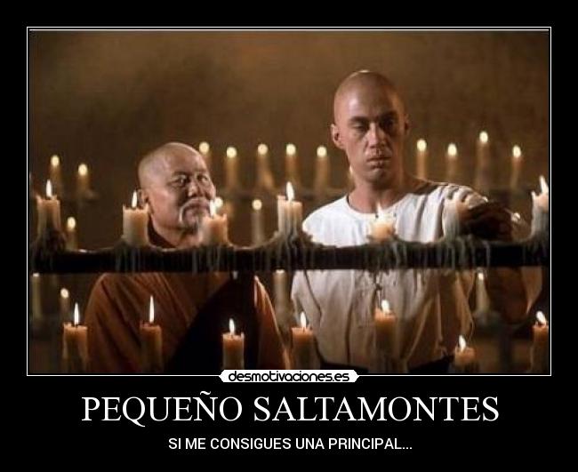 PEQUEÑO SALTAMONTES - SI ME CONSIGUES UNA PRINCIPAL...