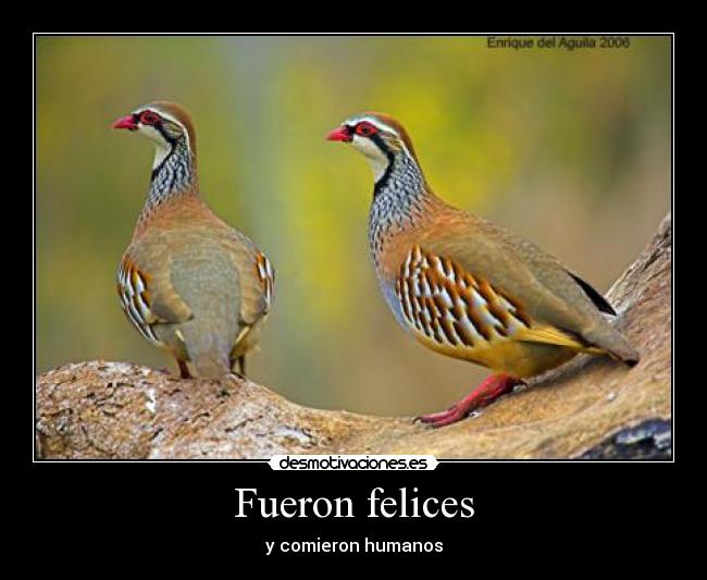Fueron felices - 