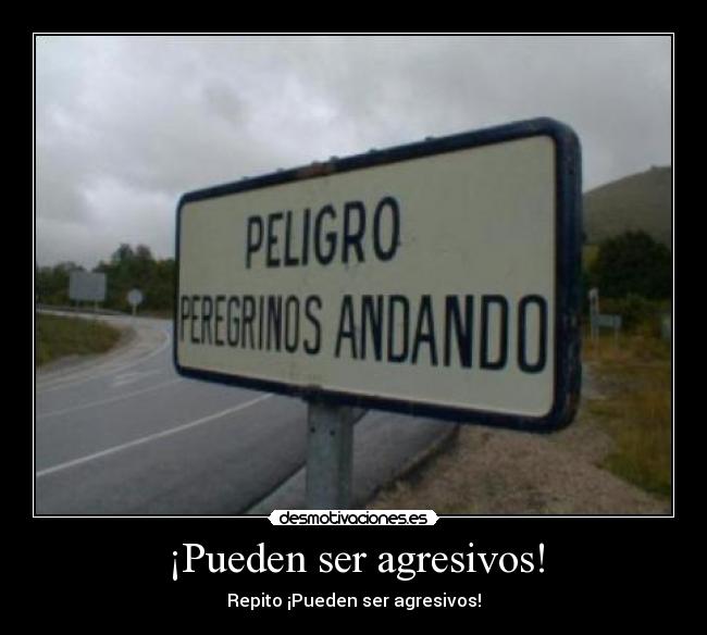 ¡Pueden ser agresivos! -
