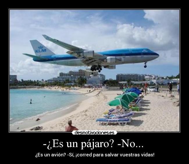 -¿Es un pájaro? -No...  - ¿Es un avión? -Sí, ¡corred para salvar vuestras vidas!