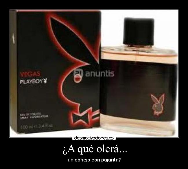 ¿A qué olerá... - un conejo con pajarita?