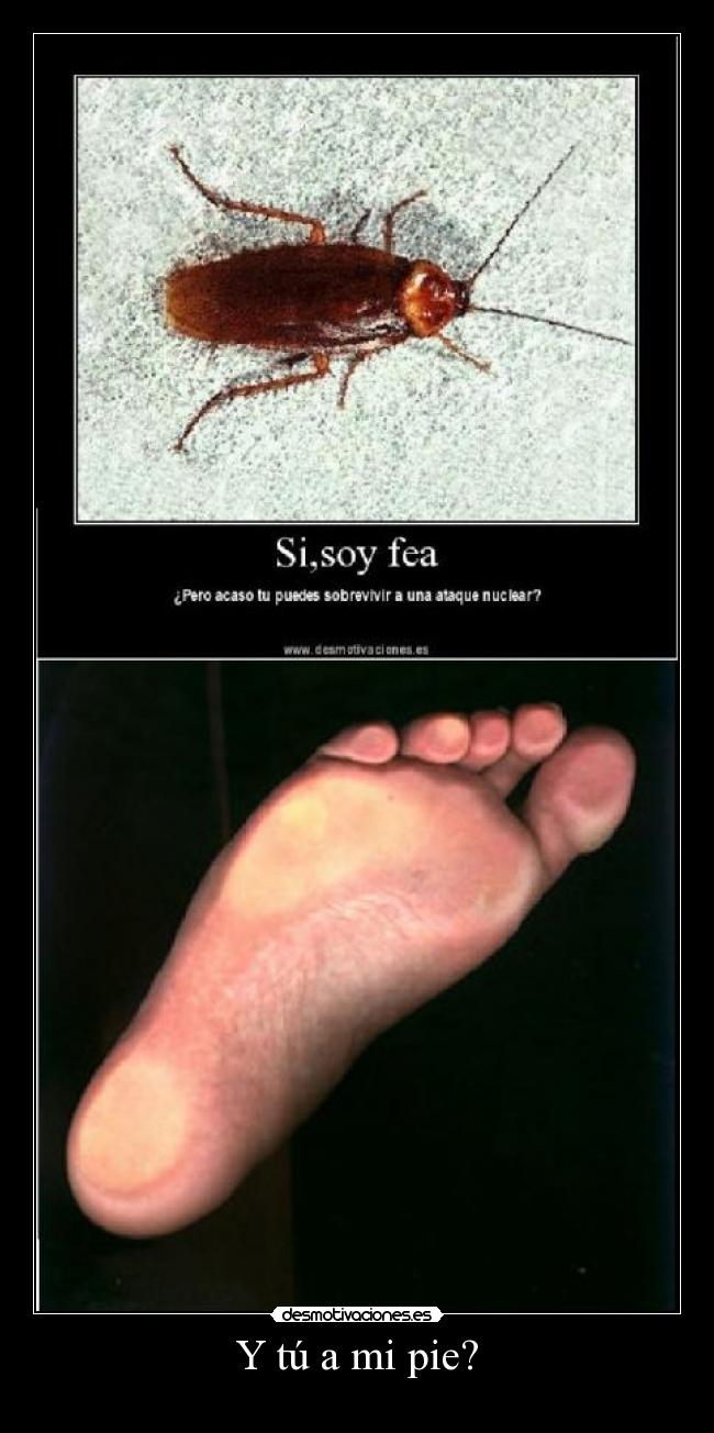 carteles  desmotivaciones