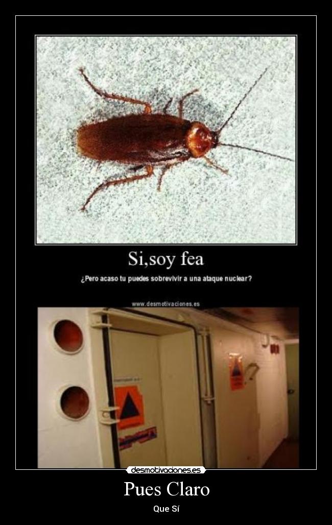 carteles cucarachas nuclear puerta antinuclear desmotivaciones