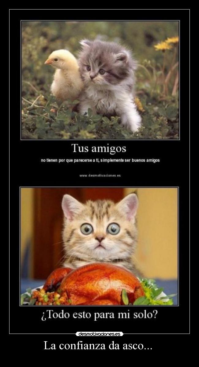 La confianza da asco... -