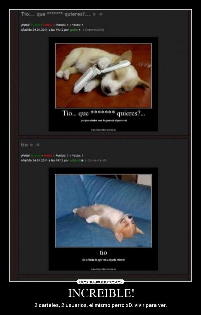 INCREIBLE! - 2 carteles, 2 usuarios, el mismo perro xD. vivir para ver.