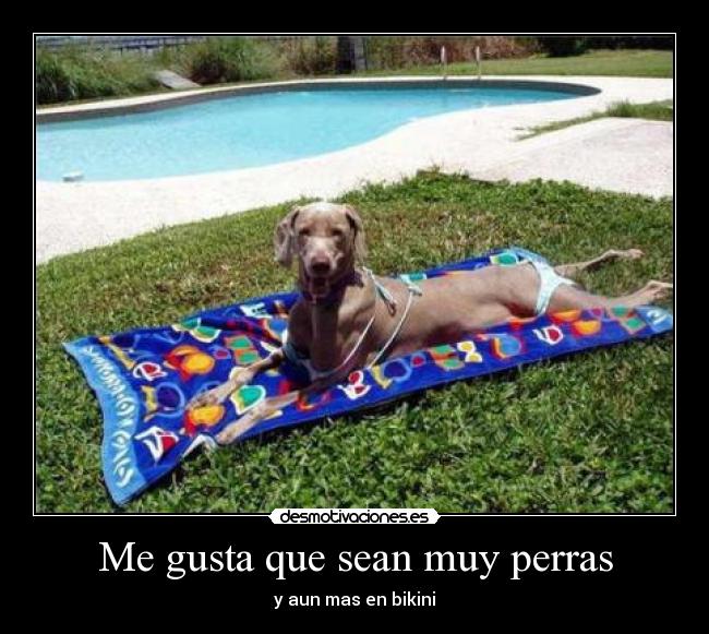 Me gusta que sean muy perras - y aun mas en bikini