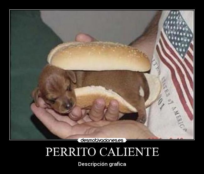 PERRITO CALIENTE -