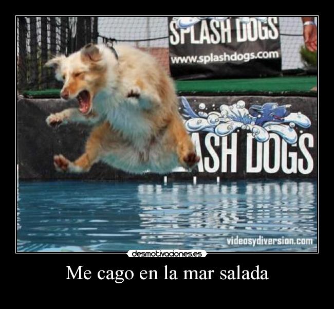 Me cago en la mar salada -