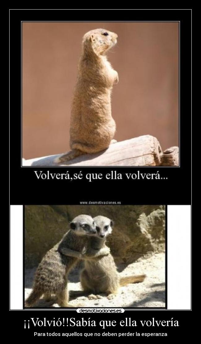 ¡¡Volvió!!Sabía que ella volvería - Para todos aquellos que no deben perder la esperanza