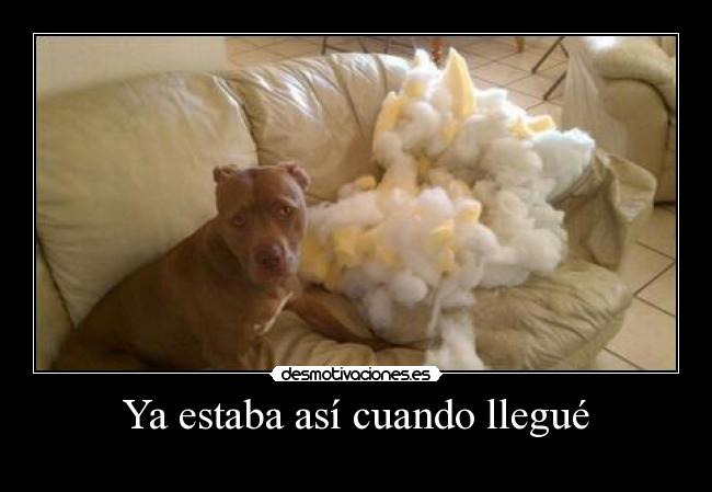 Ya estaba así cuando llegué -