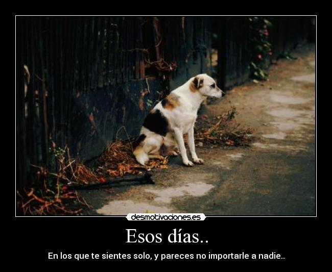 Esos días.. -