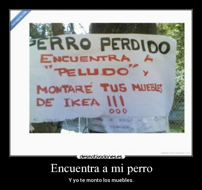 carteles perro encuentra brasa desmotivaciones