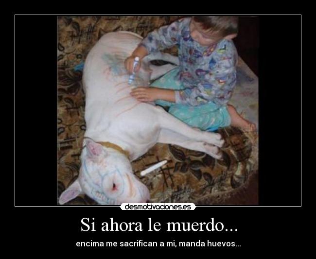 Si ahora le muerdo... - encima me sacrifican a mi, manda huevos...