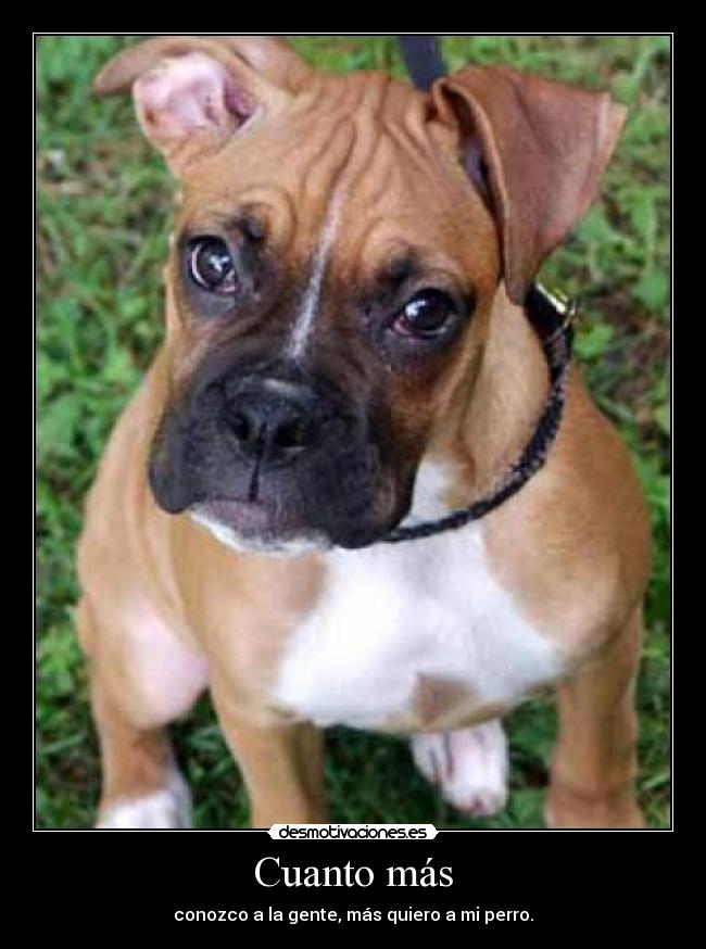 Cuanto más - conozco a la gente, más quiero a mi perro.