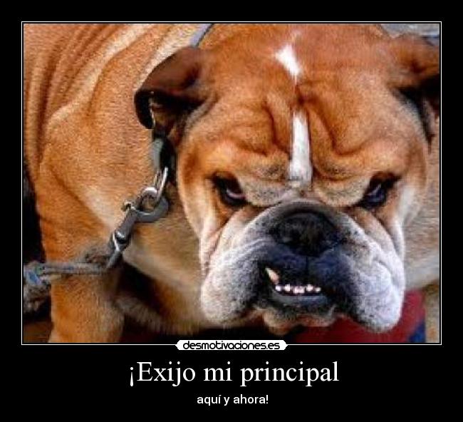 ¡Exijo mi principal -