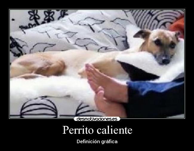 Perrito caliente - Definición gráfica