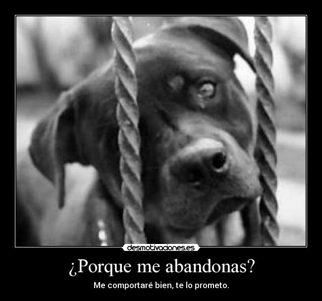 ¿Porque me abandonas? - Me comportaré bien, te lo prometo.