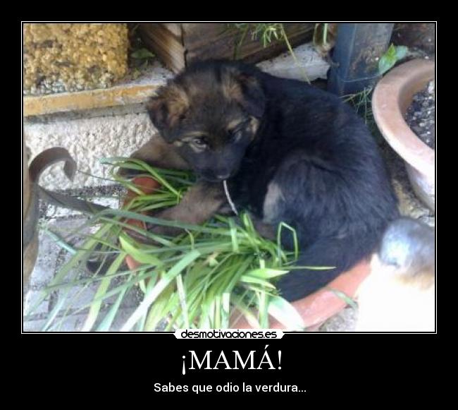 ¡MAMÁ! - 
