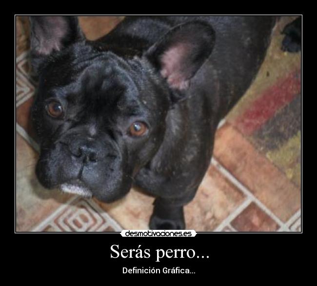 Serás perro... - 