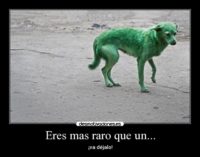 Eres mas raro que un... - ¡va déjalo!