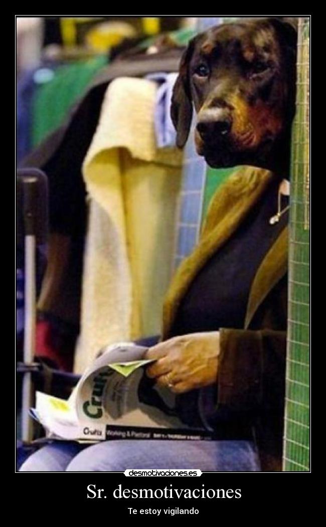 Sr. desmotivaciones -