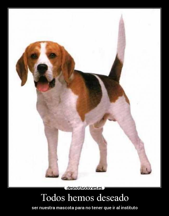 Todos hemos deseado - 